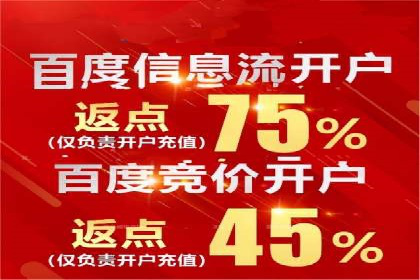 SEM推广技巧：成功案例深度剖析